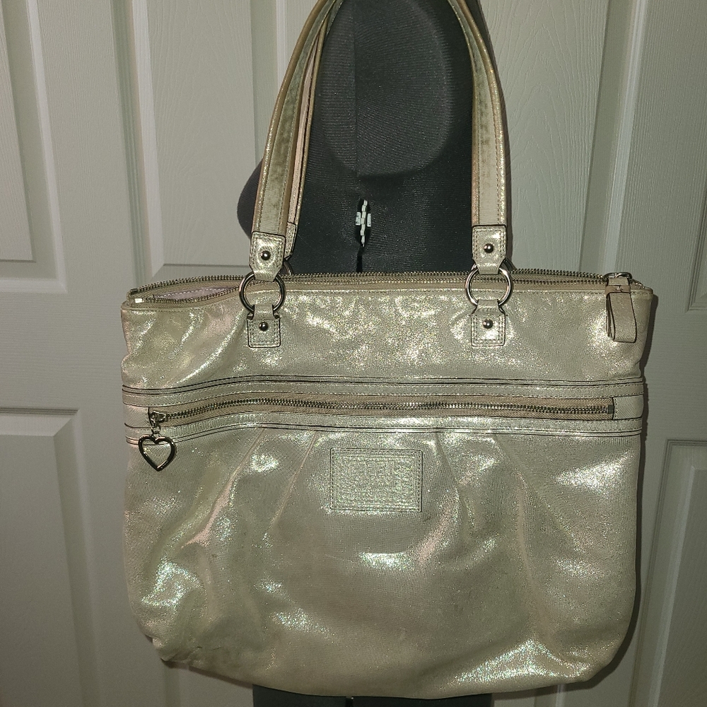 Coach Poppy Tote Silver F20441